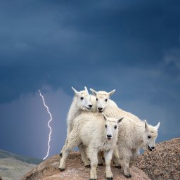 Rough Drafts, A Misnomer?