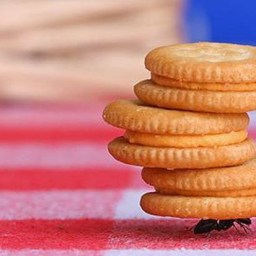 A Word on Hope: Vocation in Light of the Baltimore Riots, Part III.a of III