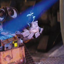 On Romance & the Spouse