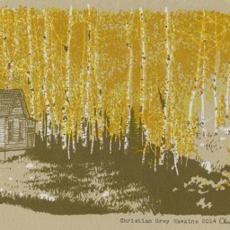 Light in the Darkness