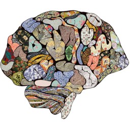 Psychological Well-being