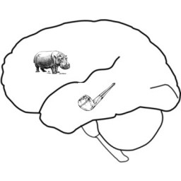 Mr. Spun’s Truly Terrible Awful Jokes: #22