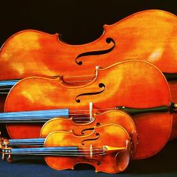 Pitch Class and Frequency: A World of Musical Kinds