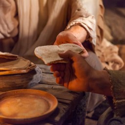 Becoming Thanksgiving