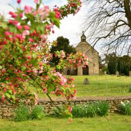 And the Seven Left no Offspring: An Allegorical Reflection on Sunday’s Reading